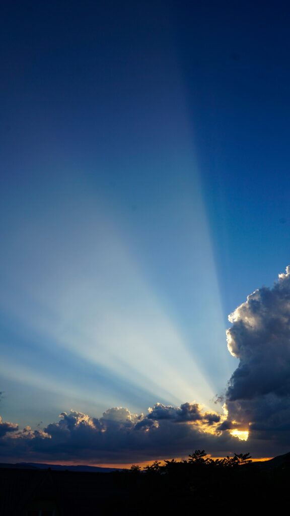 vom schatten ins licht